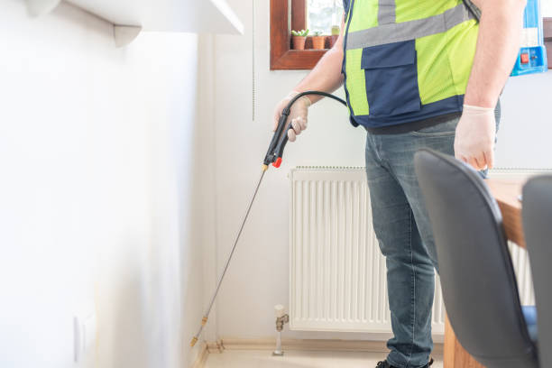 Best Termite Control Services  in Kootenai, ID