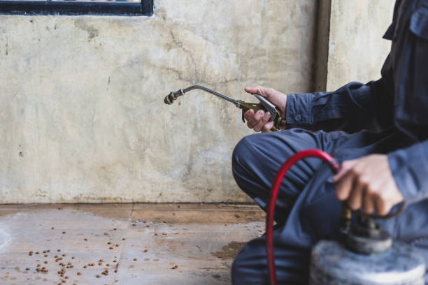 Best Best Pest Control Near Me  in Kootenai, ID